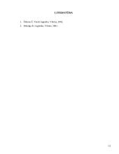 Logistikos reikšmė prekyboje 12 puslapis