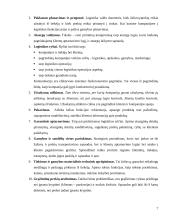 Logistikos reikšmė prekyboje 7 puslapis