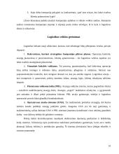 Logistikos reikšmė prekyboje 10 puslapis