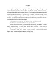 Logistikos reikšmė verslo sistemoje 3 puslapis