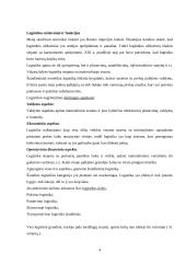 Logistikos veikla įmonėje 4 puslapis