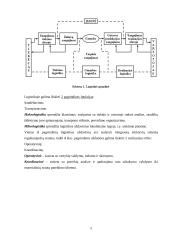 Logistikos veikla įmonėje 5 puslapis
