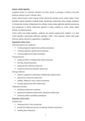 Logistikos veikla įmonėje 7 puslapis