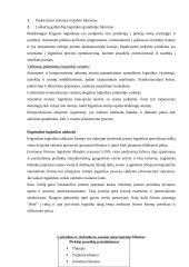 Logistikos veikla įmonėje 9 puslapis