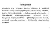 Diabetinė ketoacidozė 3 puslapis