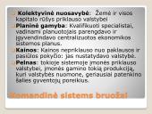 Ekonominės sistemos (skaidrės) 13 puslapis