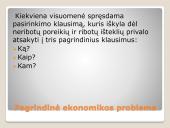Ekonominės sistemos (skaidrės) 3 puslapis