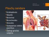 Dujų apykaita plaučiuose ir audiniuose (skaidrės) 4 puslapis