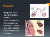 Dujų apykaita plaučiuose ir audiniuose (skaidrės) 5 puslapis