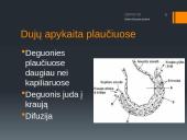 Dujų apykaita plaučiuose ir audiniuose (skaidrės) 6 puslapis