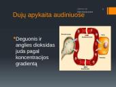 Dujų apykaita plaučiuose ir audiniuose (skaidrės) 7 puslapis