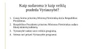 Lietuvos Respublikos Vyriausybė. Skaidrės 4 puslapis