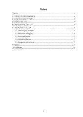 Lošimo teorija 2 puslapis