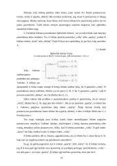 Lošimo teorija 14 puslapis