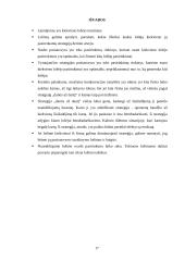 Lošimo teorija 17 puslapis