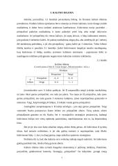 Lošimo teorija 7 puslapis