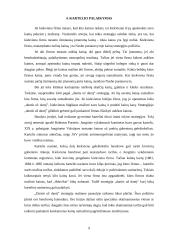 Lošimo teorija 9 puslapis