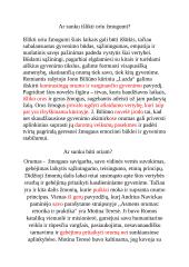 11 pastraipų pavyzdžių apie orumą 2 puslapis