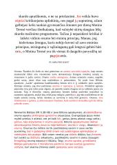 11 pastraipų pavyzdžių apie orumą 3 puslapis