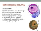 Eukariotai augalinėje ląstelėje 8 puslapis