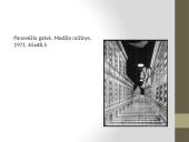 Šiuolaikinio meno menininkas Algirdas Pakeliūnas 12 puslapis