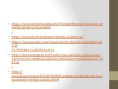 Šiuolaikinio meno menininkas Algirdas Pakeliūnas 14 puslapis