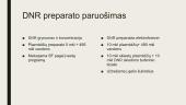 DNR elektroforezė 13 puslapis