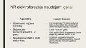 DNR elektroforezė 8 puslapis