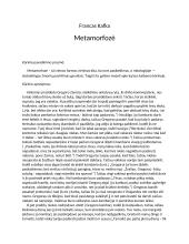 Metamorfozė - kūrinio aprašymas