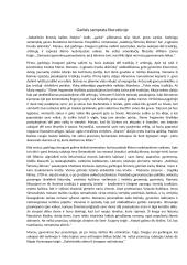 Garbės samprata literatūroje (kalbėjimas)