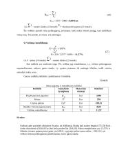 Maršruto sąnaudų skaičiavimas 13 puslapis