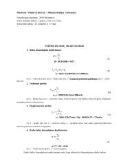 Maršruto sąnaudų skaičiavimas 6 puslapis