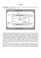 Makroaplinka marketinge