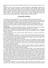 Makroaplinka marketinge 7 puslapis