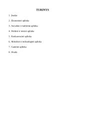 Makroaplinka marketinge 10 puslapis