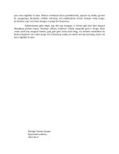 Pasirinktų veikėjų paveikslai romane 2 puslapis