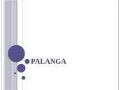Palanga presentation