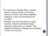 Palanga presentation 11 puslapis