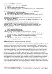 Juozas Tumas Vaižgantas (konspektas) 2 puslapis