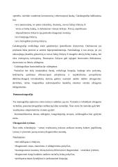 Mamografija 5 puslapis