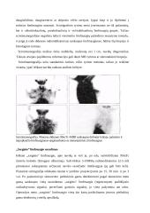 Mamografija 10 puslapis