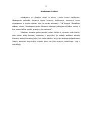 Mandagumas, bendravimas bei etiketas 8 puslapis