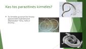 Parazitinės kirmėlės. Skaidrės 3 puslapis