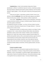 Manualinė terapija 6 puslapis