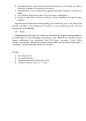 Atstumtas žmogus literatūroje. Kalbėjimo planas 2 puslapis
