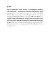 Marijampolės kolegijos studentų kalbos kultūra 2 puslapis