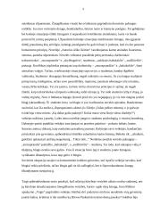 Vertybių kaita lietuvių literatūroje  (Juozas Aputis, Jonas Biliūnas, Jurgis Savickis) 3 puslapis