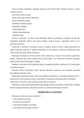 Marketingo samprata, planavimas, valdymas 6 puslapis