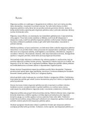 Migracijos politika šalyse 2 puslapis