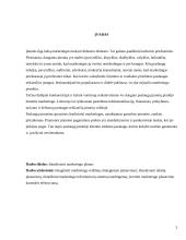 Strateginis marketingo planavimas, organizavimas ir kontrolė 2 puslapis